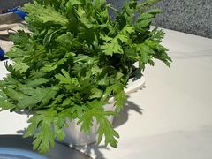 -葛记红焖羊肉(人民路店)