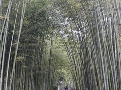 -上海市龙华烈士陵园