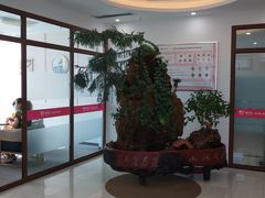 -爱月宝月嫂·育儿嫂