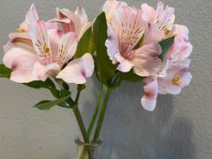 -红小满休闲餐厅(十全街店)