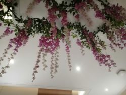 -厦门美莱整形美容医院