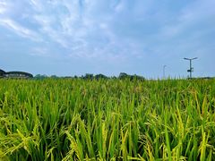 -中国天府农业博览园