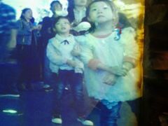 -芜湖新华联大白鲸海洋公园