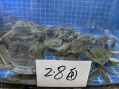 -黄记大闸蟹专卖店·活蟹·醉蟹
