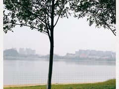 -松山湖南湖湾露营营地