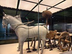 -淮安市博物馆