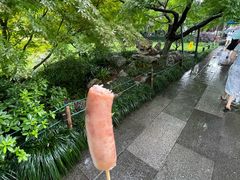 -西湖游船