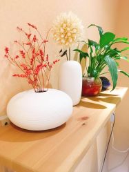 -深圳原色医疗美容