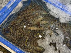 -海味当家·蒸锅海鲜(星海公园店)