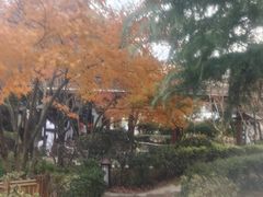 -汤山一号温泉度假区