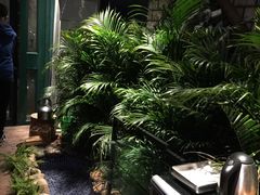 -慢丽江·云南野生菌土鸡锅(付家庄店)
