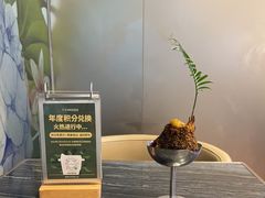 -THE WOODS 简餐 (国贸商城店)