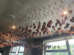 -新盈光·旗舰店(海曙苍松路店)