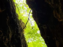-天女山森林公园