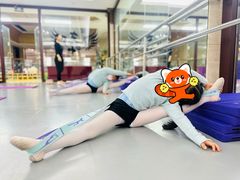 -北京梧桐树双语幼儿园