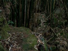 -偏岩古镇