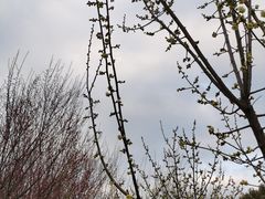 -蜀冈西峰生态公园