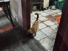 -三哥田螺(北书院街店)