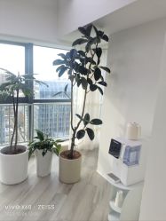 -HEYAN荷妍专业脱毛连锁机构