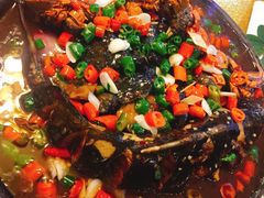 -呼吸森林·生态农庄农家乐私房菜