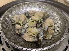 -渔乐里(智荟城店)