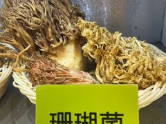 -菌海森林·非遗野生菌火锅(西山区滇池路摩根道店)