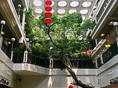 -广州酒家(文昌总店)