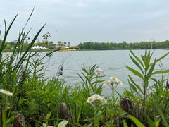 -苏州太湖国家湿地公园