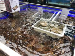 -盒马鲜生(大成店)