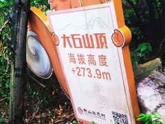 -树山生态村