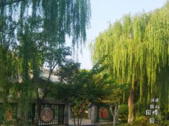 -济南国际园博园