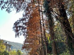 -东明山森林公园
