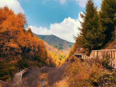 -苏木山森林公园