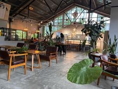 -猫屎咖啡(陶溪川店)