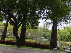 -晓港公园