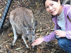 -可伦宾野生动物保护区