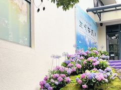 -上海滨江森林公园