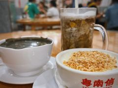椰脆双皮奶-南信牛奶甜品专家