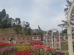 -都江堰玫瑰花溪谷