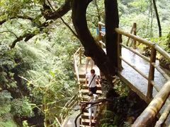 -东天目山风景区