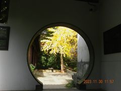 -惠山古镇·寄畅园