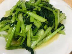 -煲来饱去冷水鱼