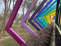 -合肥滨湖国家森林公园