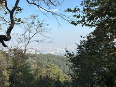 -灵顺寺