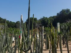 -东莞植物园