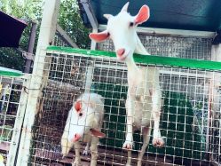 -可可天空农场(中大店)