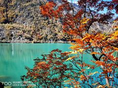 -叠溪松坪沟景区