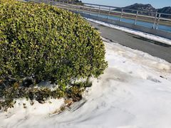 -江南天池