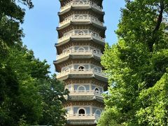 -灵谷景区