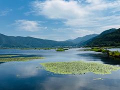 -腾冲北海湿地